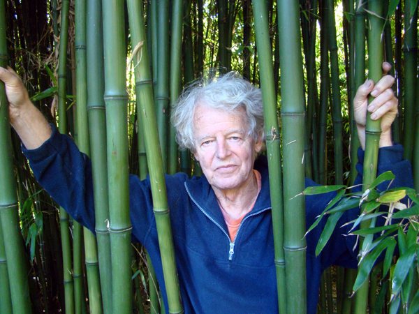 Bamboe in - De Groene